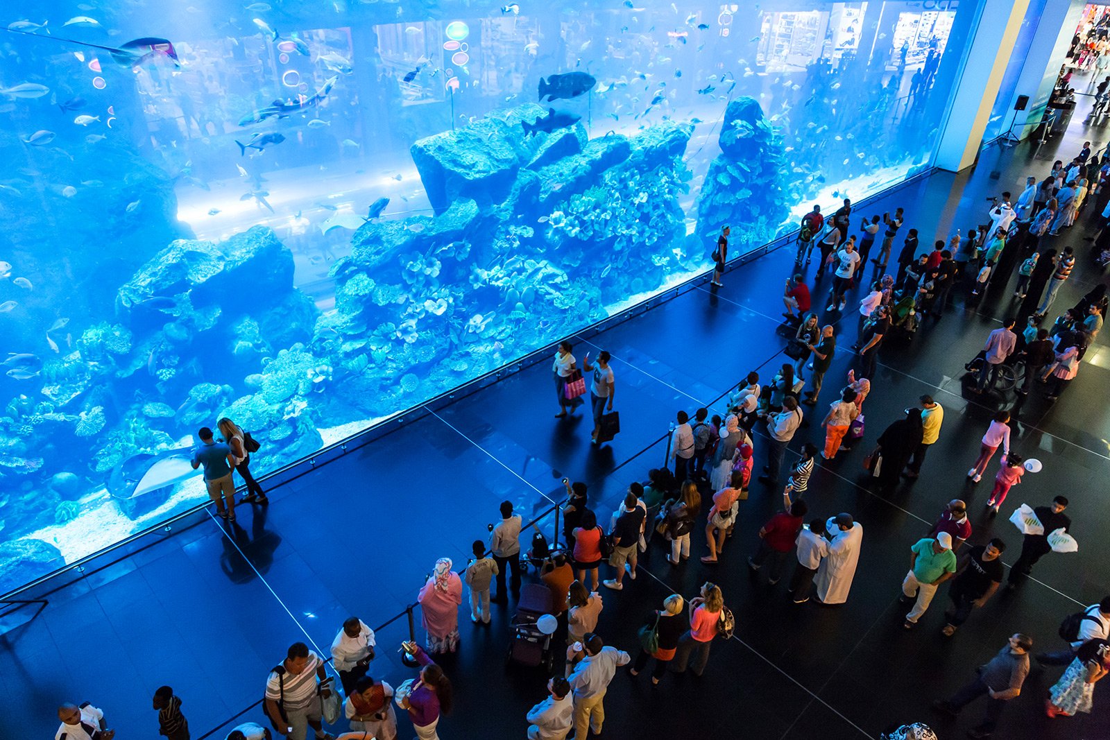 https://mdw-travel-data-us-east-1.s3.amazonaws.com/img/country/United-Arab-Emirates/Dubai-Aquarium-and-Underwater-Zoo/img_03.jpg