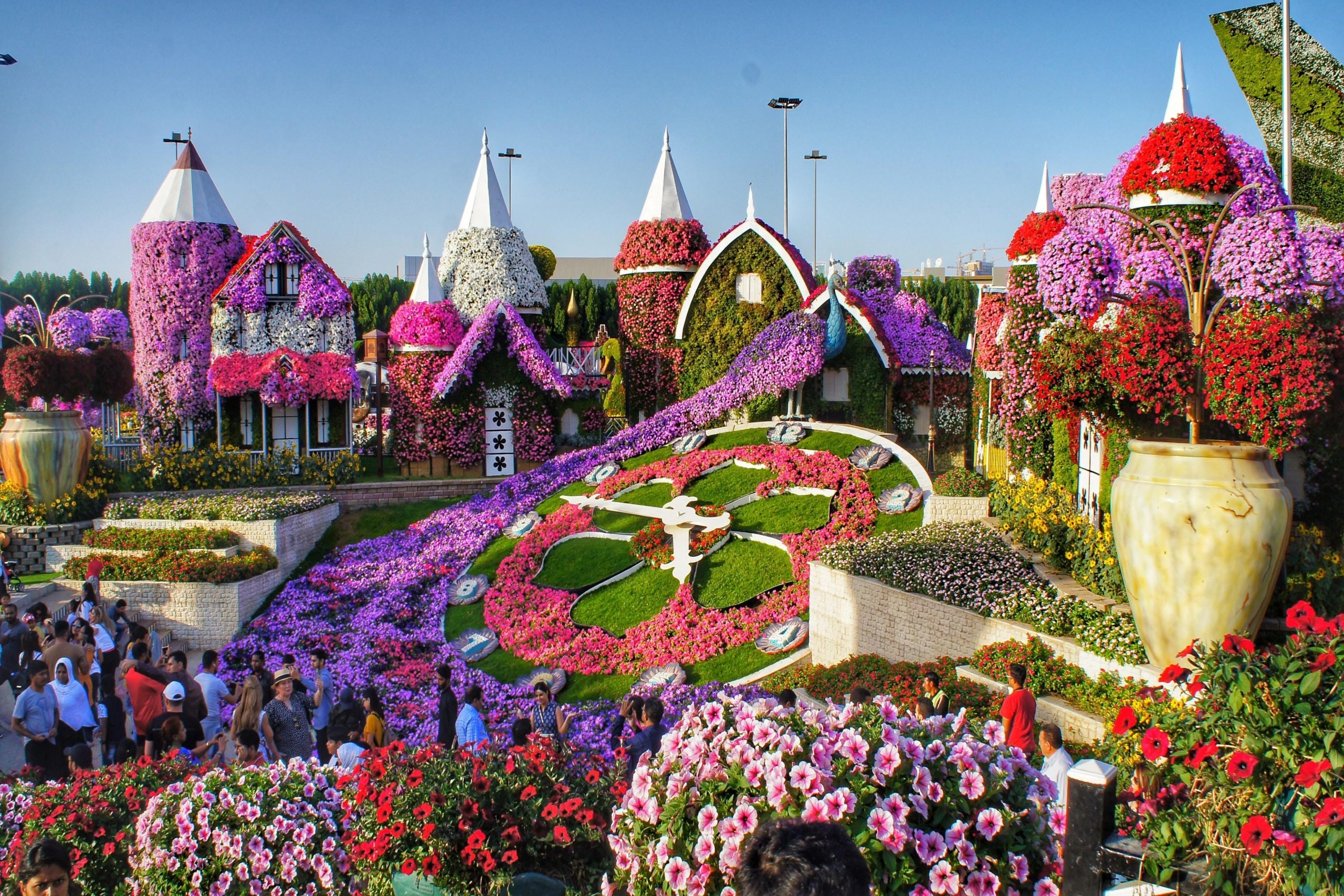 https://mdw-travel-data-us-east-1.s3.amazonaws.com/img/country/United-Arab-Emirates/Dubai-Butterfly-Garden/img_02.jpg
