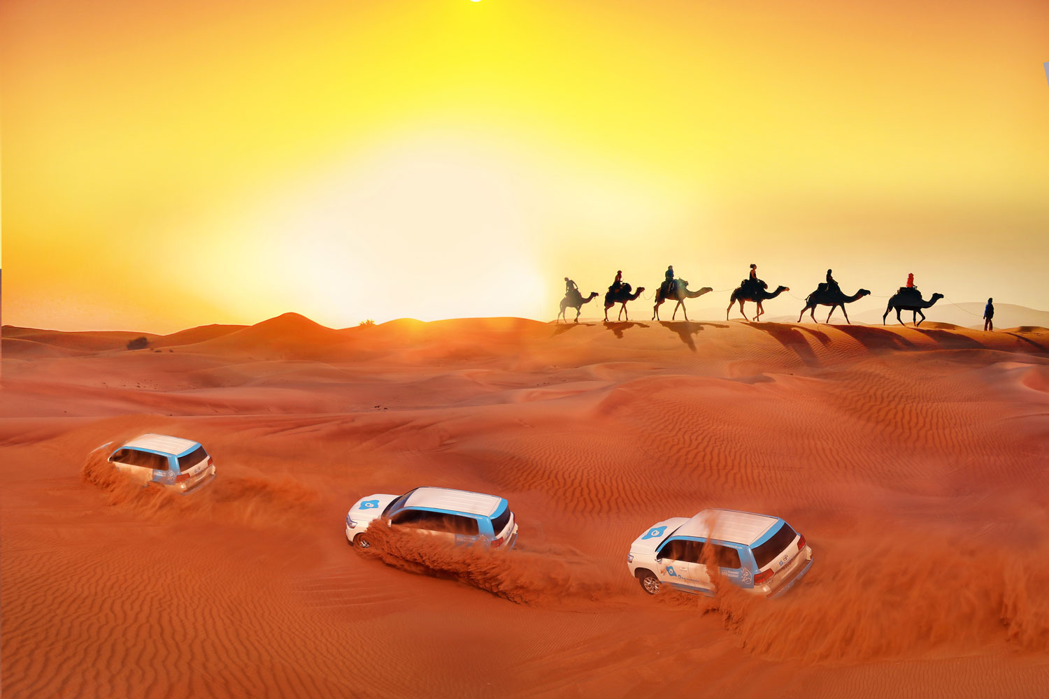 https://mdw-travel-data-us-east-1.s3.amazonaws.com/img/country/United-Arab-Emirates/Dubai-Camel-Safari/img_01.jpg
