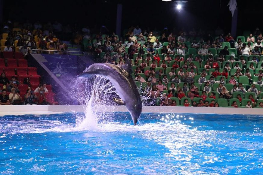 https://mdw-travel-data-us-east-1.s3.amazonaws.com/img/country/United-Arab-Emirates/Dubai-Dolphinarium/img_02.jpg