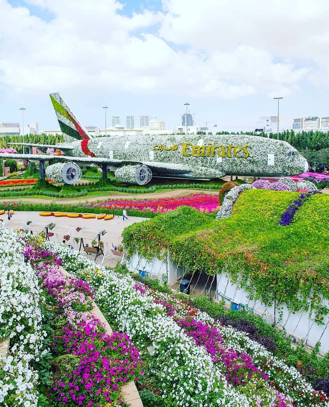 https://mdw-travel-data-us-east-1.s3.amazonaws.com/img/country/United-Arab-Emirates/Dubai-Miracle-Garden/img_02.jpg