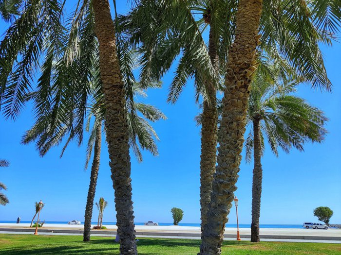 https://mdw-travel-data-us-east-1.s3.amazonaws.com/img/country/United-Arab-Emirates/Fishermens-Grille-Kalba/img_02.jpg