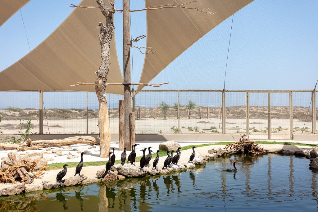 https://mdw-travel-data-us-east-1.s3.amazonaws.com/img/country/United-Arab-Emirates/Fishermens-Grille-Kalba/img_03.jpg