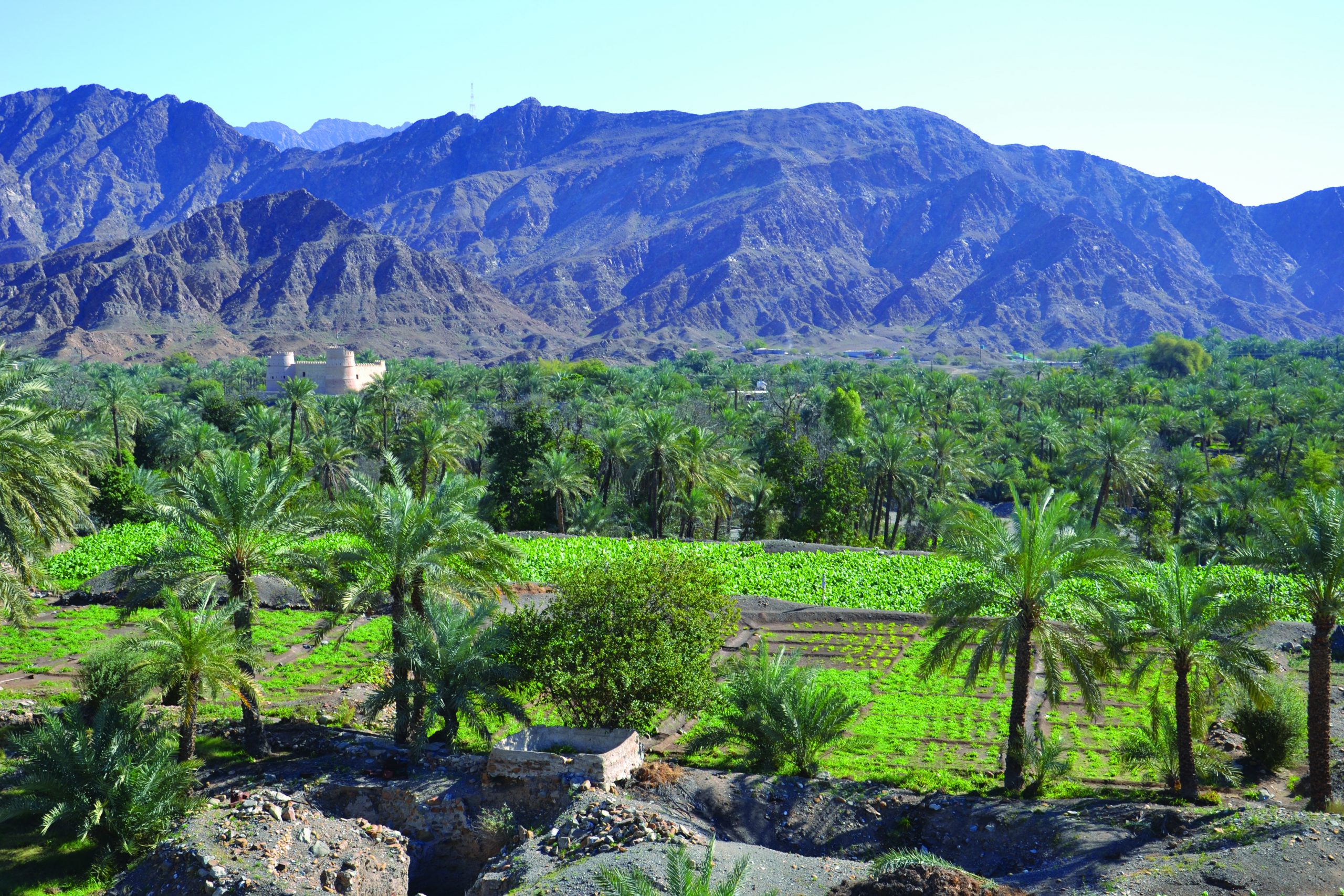 https://mdw-travel-data-us-east-1.s3.amazonaws.com/img/country/United-Arab-Emirates/Fujairah-Adventure-Park/img_01.jpg