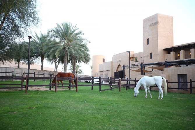https://mdw-travel-data-us-east-1.s3.amazonaws.com/img/country/United-Arab-Emirates/Hatta-Horse-Riding/img_01.jpg