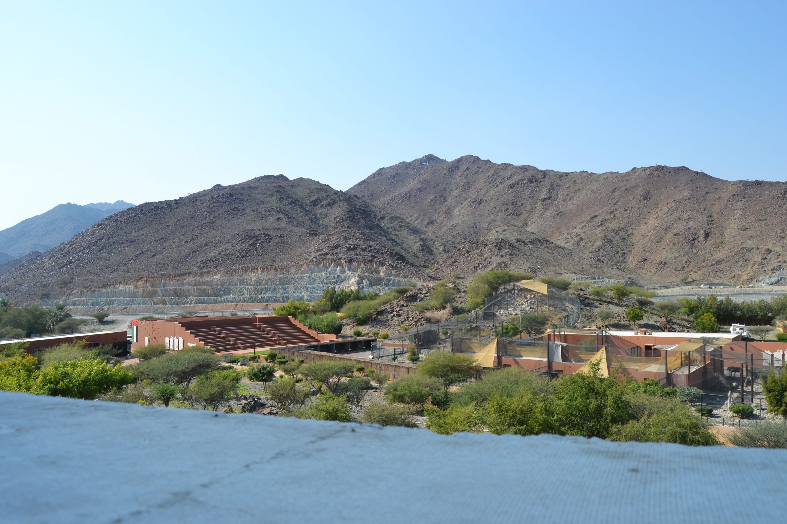 https://mdw-travel-data-us-east-1.s3.amazonaws.com/img/country/United-Arab-Emirates/Kalba-Bird-of-Prey-Centre/img_00.jpg