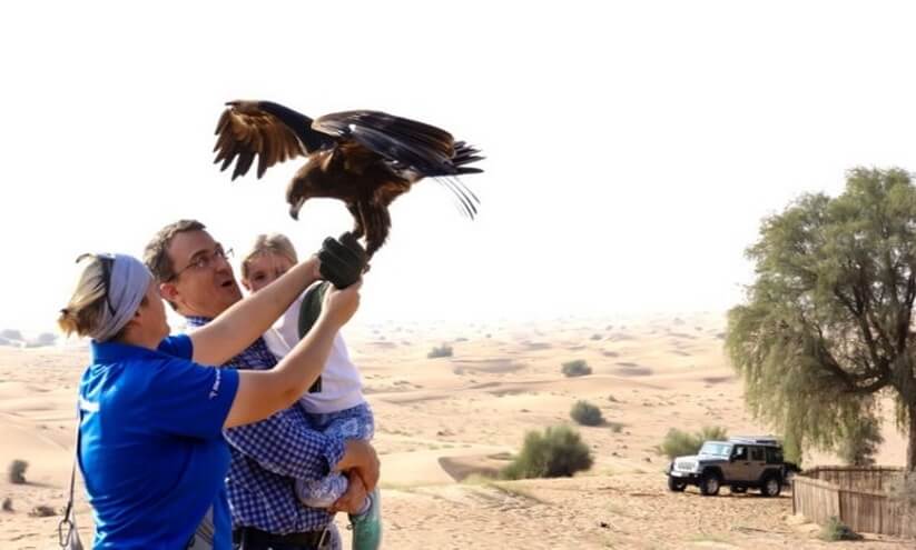 https://mdw-travel-data-us-east-1.s3.amazonaws.com/img/country/United-Arab-Emirates/Kalba-Bird-of-Prey-Centre/img_01.jpg