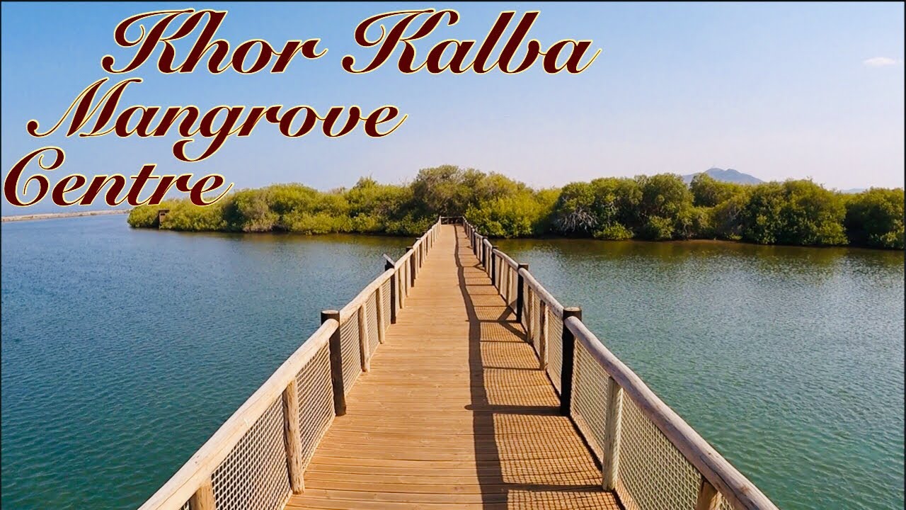 https://mdw-travel-data-us-east-1.s3.amazonaws.com/img/country/United-Arab-Emirates/Khor-Kalba-Mangrove-Centre/img_03.jpg