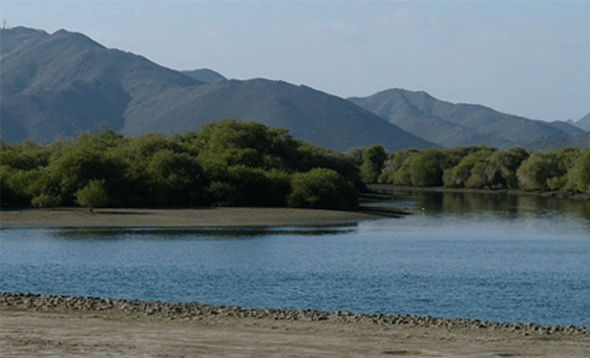 https://mdw-travel-data-us-east-1.s3.amazonaws.com/img/country/United-Arab-Emirates/Khor-Kalba-Watchtower/img_02.jpg