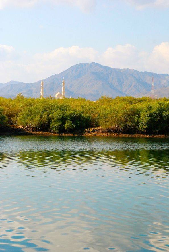 https://mdw-travel-data-us-east-1.s3.amazonaws.com/img/country/United-Arab-Emirates/Khor-Kalba/img_01.jpg