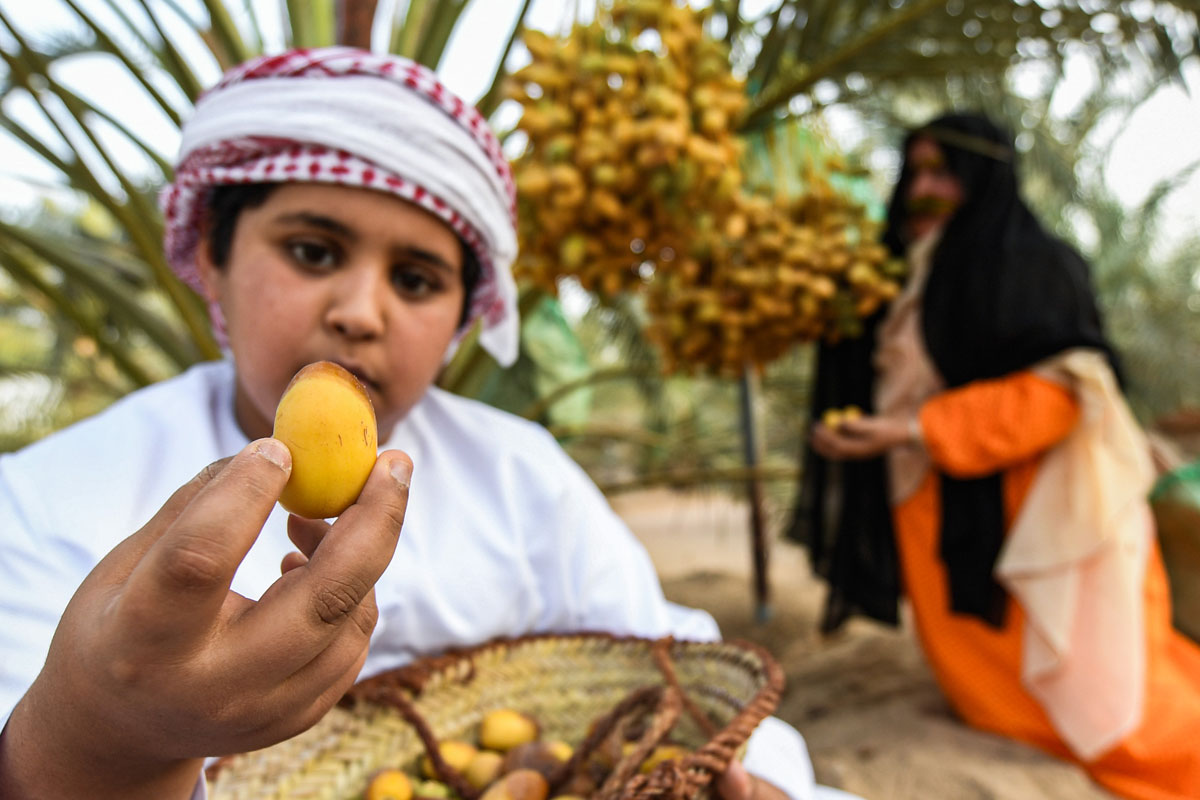 https://mdw-travel-data-us-east-1.s3.amazonaws.com/img/country/United-Arab-Emirates/Liwa-Date-Festival/img_05.jpg