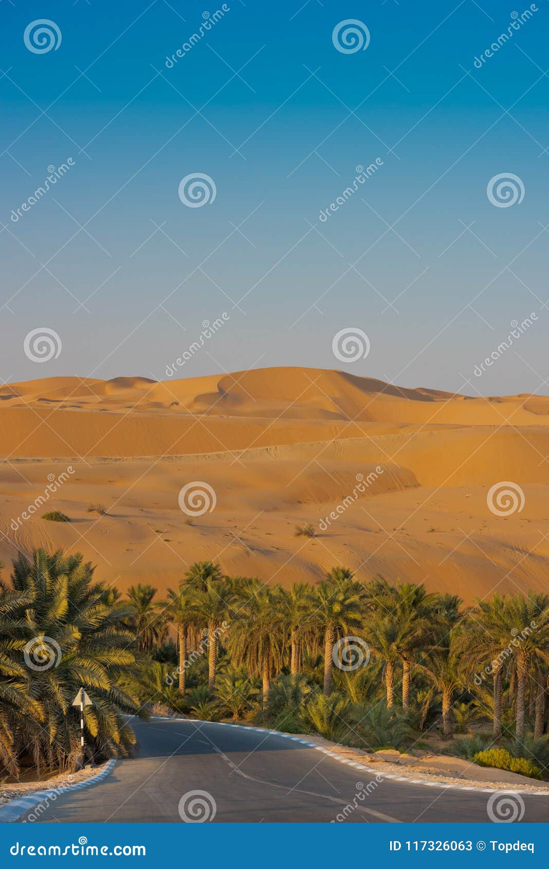 https://mdw-travel-data-us-east-1.s3.amazonaws.com/img/country/United-Arab-Emirates/Liwa-Oasis/img_05.jpg