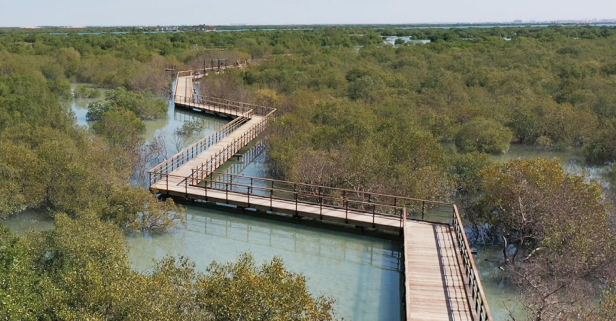 https://mdw-travel-data-us-east-1.s3.amazonaws.com/img/country/United-Arab-Emirates/Mangrove-National-Park/img_01.jpg