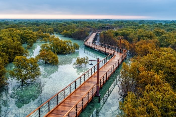 https://mdw-travel-data-us-east-1.s3.amazonaws.com/img/country/United-Arab-Emirates/Mangrove-National-Park/img_03.jpg
