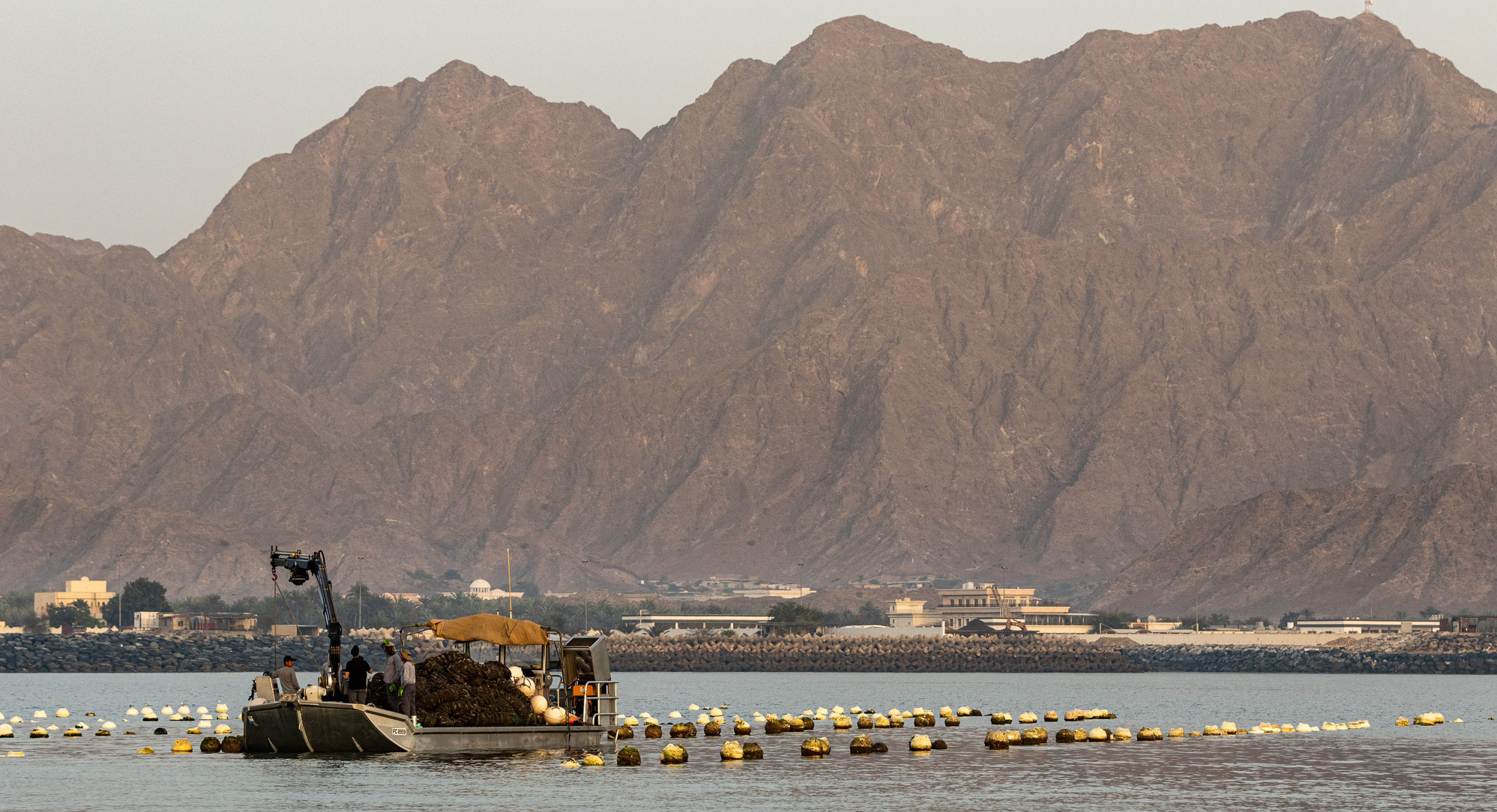 https://mdw-travel-data-us-east-1.s3.amazonaws.com/img/country/United-Arab-Emirates/RAK-Oyster-Farm/img_01.jpg