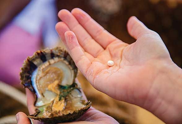 https://mdw-travel-data-us-east-1.s3.amazonaws.com/img/country/United-Arab-Emirates/RAK-Oyster-Farm/img_02.jpg
