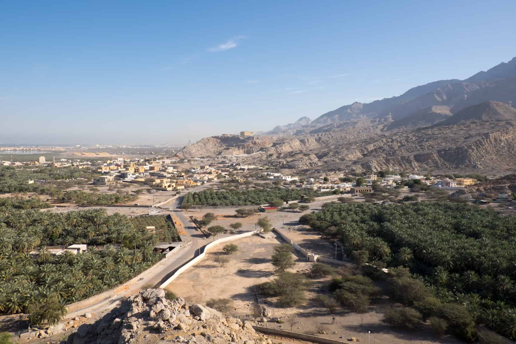 https://mdw-travel-data-us-east-1.s3.amazonaws.com/img/country/United-Arab-Emirates/Rainforest-at-Ras-Al-Khaimah/img_04.jpg