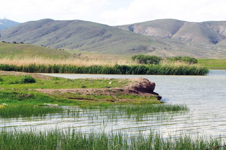 https://mdw-travel-data-us-east-1.s3.amazonaws.com/img/country/United-Arab-Emirates/Ramsar-Wetland-Reserve/img_01.jpg