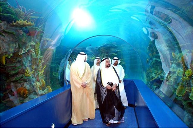 https://mdw-travel-data-us-east-1.s3.amazonaws.com/img/country/United-Arab-Emirates/Sharjah-Aquarium/img_01.jpg