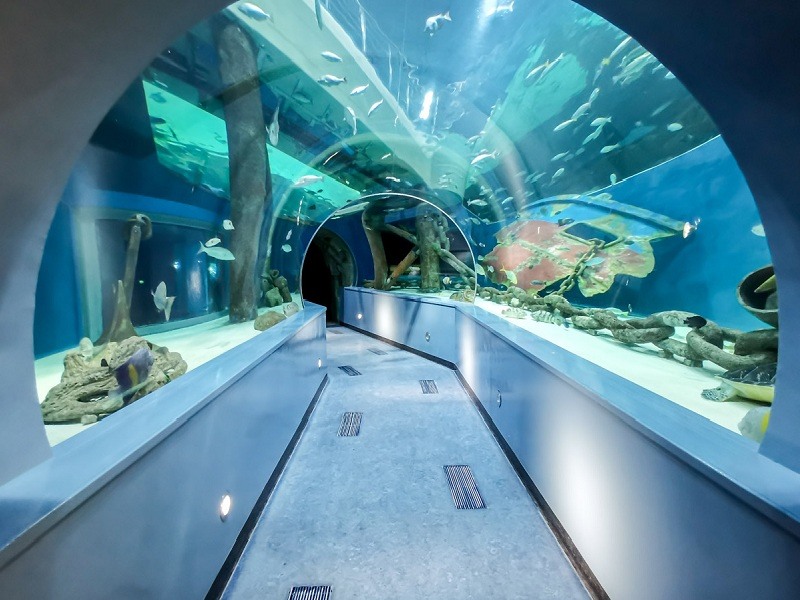 https://mdw-travel-data-us-east-1.s3.amazonaws.com/img/country/United-Arab-Emirates/Sharjah-Aquarium/img_03.jpg
