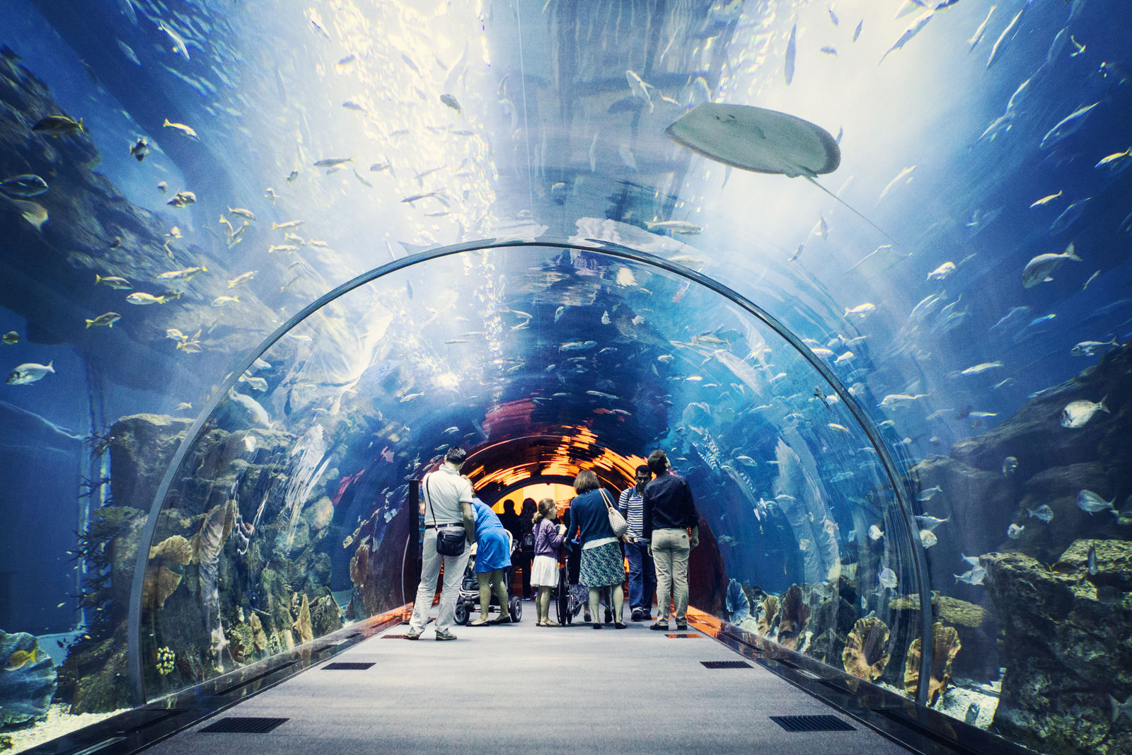 https://mdw-travel-data-us-east-1.s3.amazonaws.com/img/country/United-Arab-Emirates/The-Dubai-Mall-Aquarium/img_00.jpg
