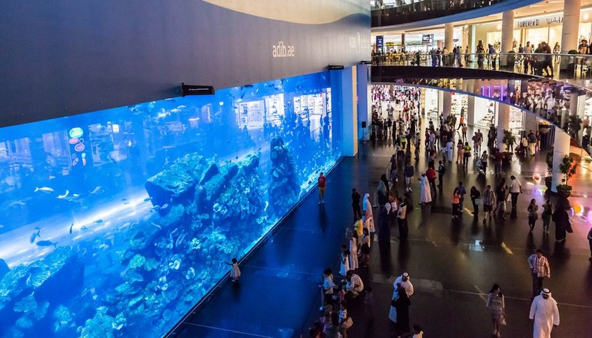 https://mdw-travel-data-us-east-1.s3.amazonaws.com/img/country/United-Arab-Emirates/The-Dubai-Mall-Aquarium/img_01.jpg