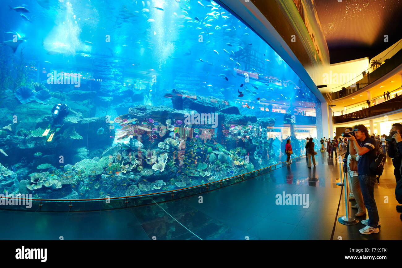 https://mdw-travel-data-us-east-1.s3.amazonaws.com/img/country/United-Arab-Emirates/The-Dubai-Mall-Aquarium/img_03.jpg