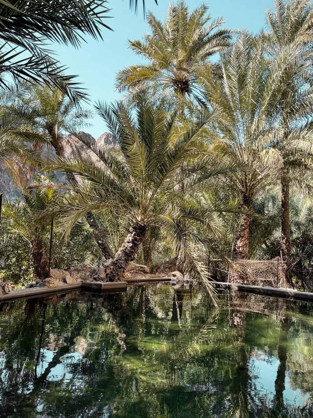 https://mdw-travel-data-us-east-1.s3.amazonaws.com/img/country/United-Arab-Emirates/Wadi-Shees/img_02.jpg