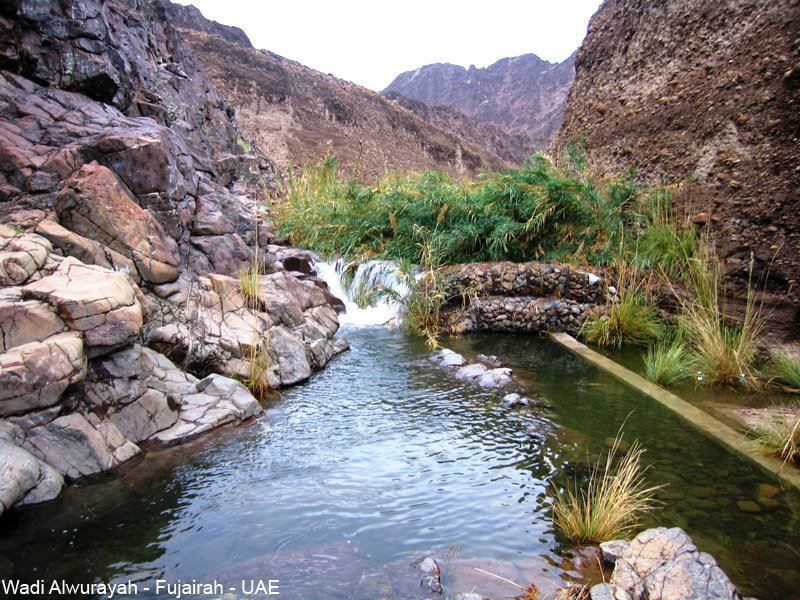 https://mdw-travel-data-us-east-1.s3.amazonaws.com/img/country/United-Arab-Emirates/Wadi-Wurayah/img_03.jpg
