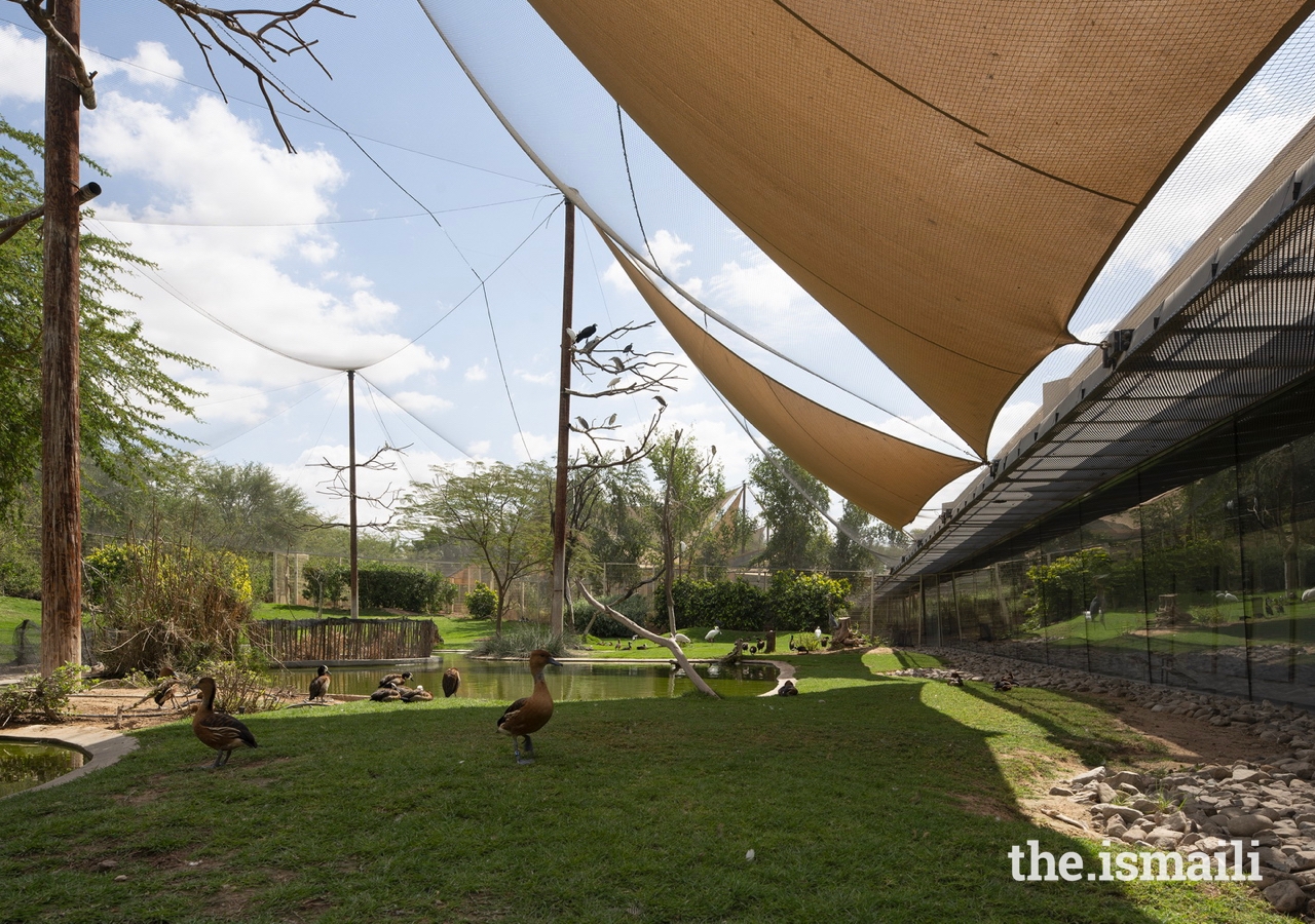 https://mdw-travel-data-us-east-1.s3.amazonaws.com/img/country/United-Arab-Emirates/Wasit-Wetland-Centre/img_01.jpg
