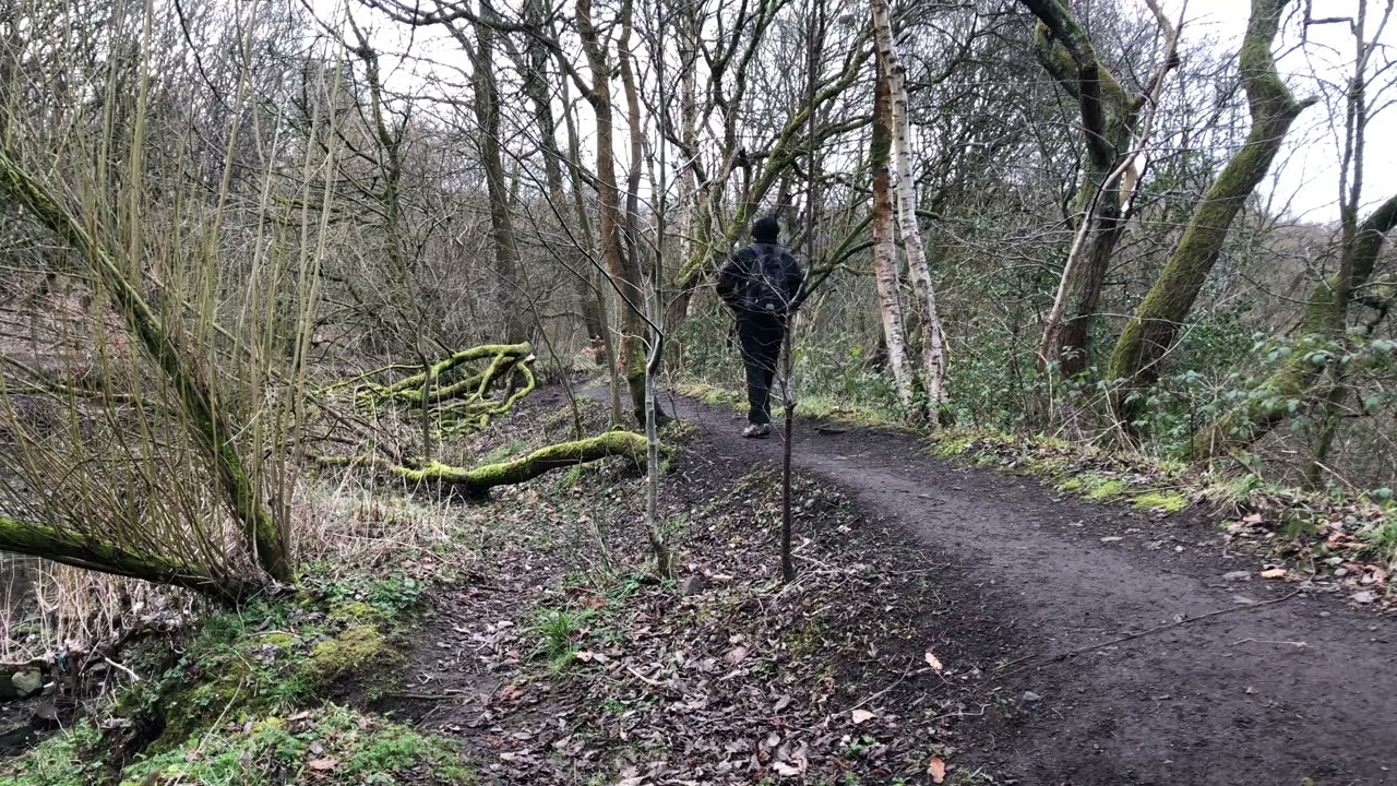 https://mdw-travel-data-us-east-1.s3.amazonaws.com/img/country/United-Kingdom/Alkrington-Woods-Nature-Reserve/img_01.jpg