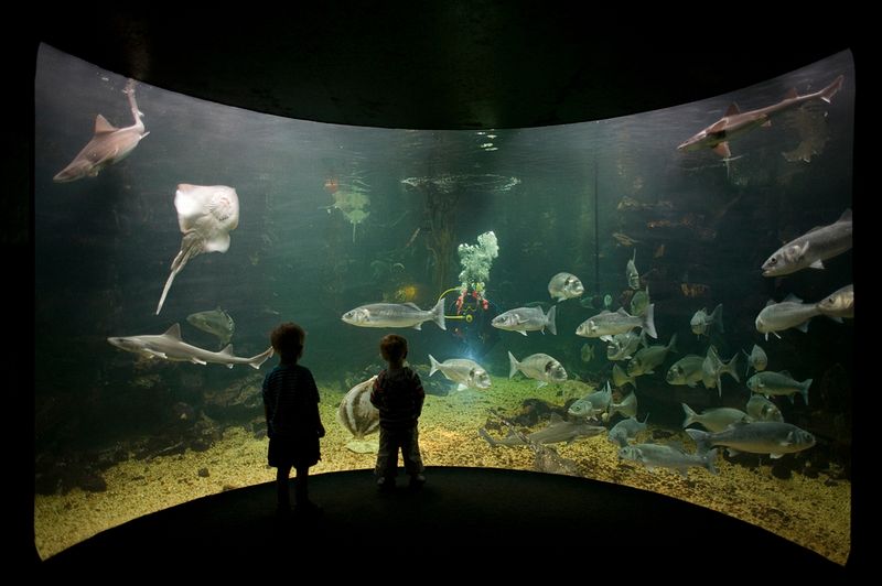 https://mdw-travel-data-us-east-1.s3.amazonaws.com/img/country/United-Kingdom/Anglesey-Sea-Zoo/img_02.jpg
