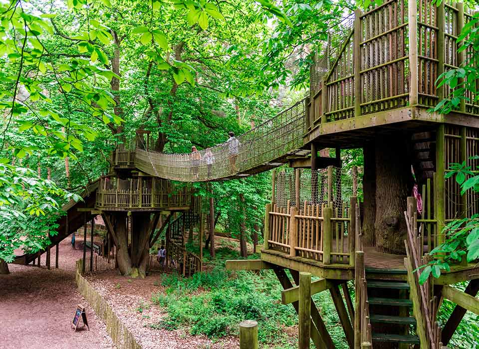 https://mdw-travel-data-us-east-1.s3.amazonaws.com/img/country/United-Kingdom/BeWILDerwood/img_01.jpg