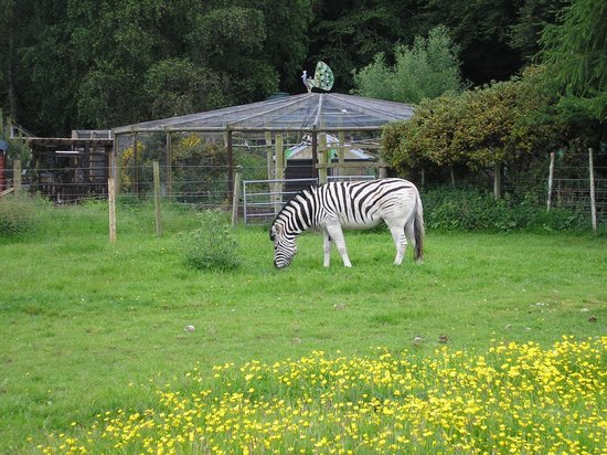 https://mdw-travel-data-us-east-1.s3.amazonaws.com/img/country/United-Kingdom/Black-Isle-Wildlife-and-Country-Park/img_00.jpg
