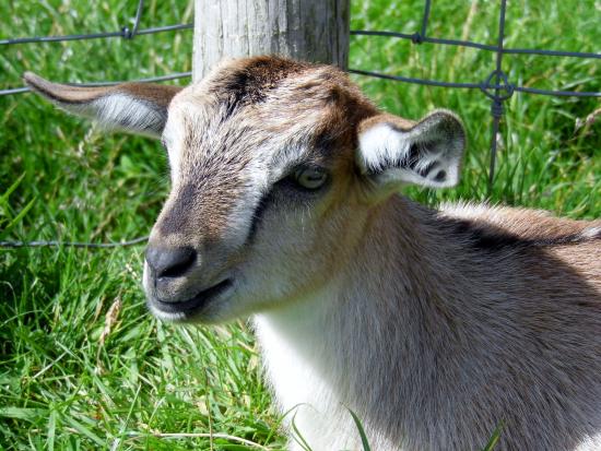 https://mdw-travel-data-us-east-1.s3.amazonaws.com/img/country/United-Kingdom/Black-Isle-Wildlife-and-Country-Park/img_02.jpg