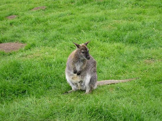 https://mdw-travel-data-us-east-1.s3.amazonaws.com/img/country/United-Kingdom/Black-Isle-Wildlife-and-Country-Park/img_03.jpg
