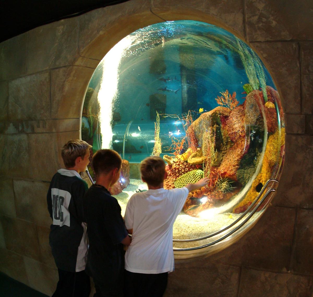 https://mdw-travel-data-us-east-1.s3.amazonaws.com/img/country/United-Kingdom/Blue-Reef-Aquarium-Portsmouth/img_03.jpg