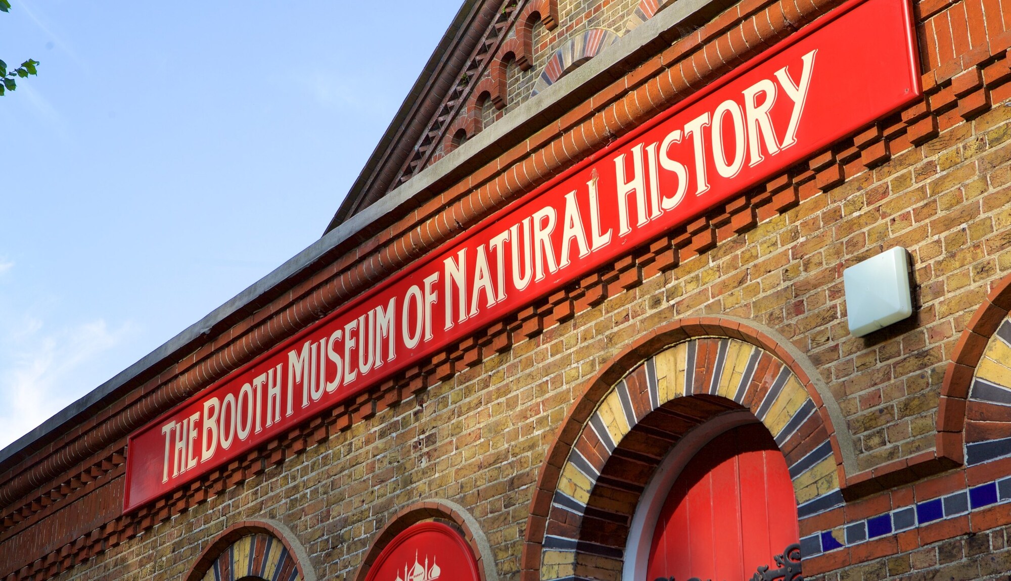 https://mdw-travel-data-us-east-1.s3.amazonaws.com/img/country/United-Kingdom/Booth-Museum-of-Natural-History/img_01.jpg