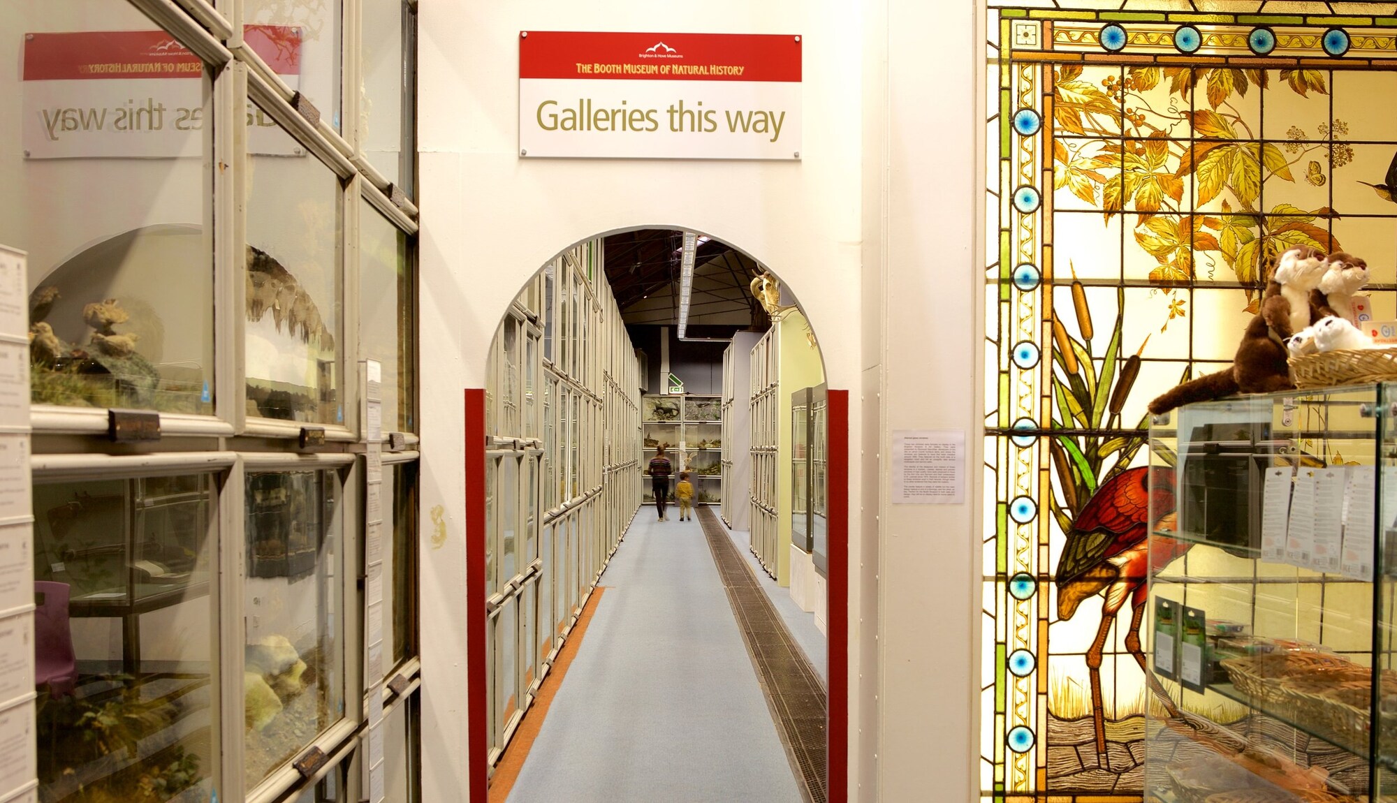 https://mdw-travel-data-us-east-1.s3.amazonaws.com/img/country/United-Kingdom/Booth-Museum-of-Natural-History/img_02.jpg