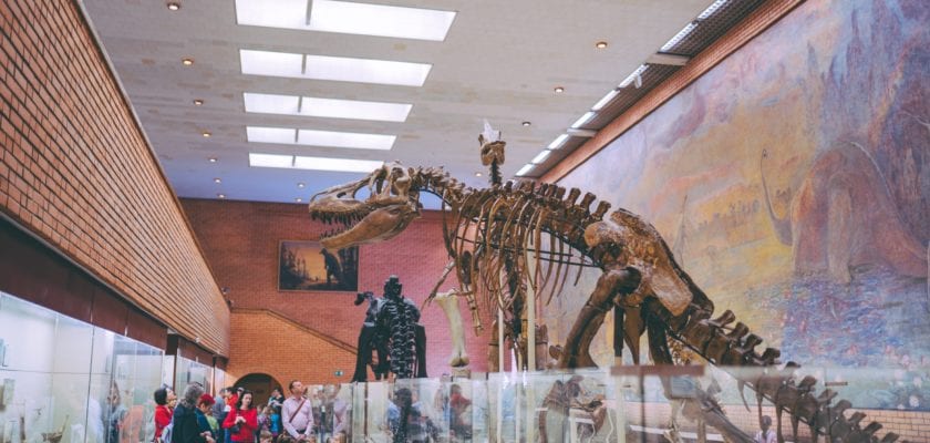 https://mdw-travel-data-us-east-1.s3.amazonaws.com/img/country/United-Kingdom/Booth-Museum-of-Natural-History/img_03.jpg
