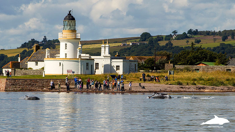 https://mdw-travel-data-us-east-1.s3.amazonaws.com/img/country/United-Kingdom/Chanonry-Point/img_02.jpg