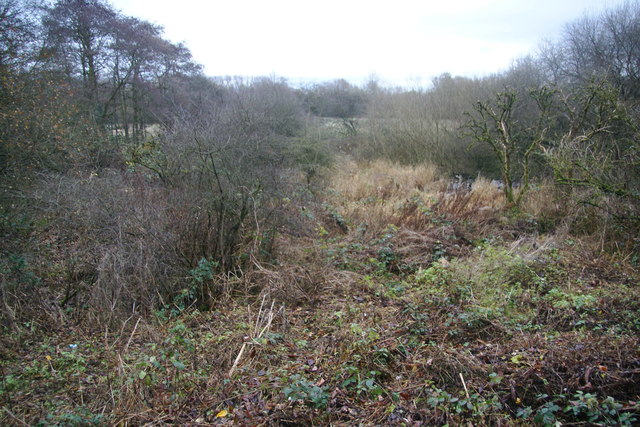 https://mdw-travel-data-us-east-1.s3.amazonaws.com/img/country/United-Kingdom/Chorlton-Ees-Nature-Reserve/img_03.jpg