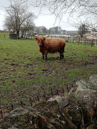 https://mdw-travel-data-us-east-1.s3.amazonaws.com/img/country/United-Kingdom/Cotswold-Farm-Park/img_02.jpg