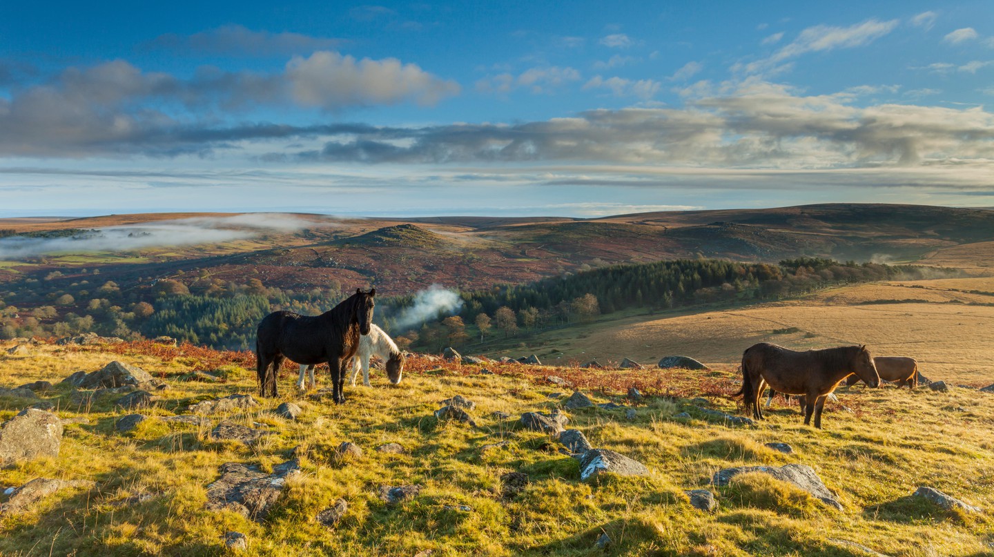 https://mdw-travel-data-us-east-1.s3.amazonaws.com/img/country/United-Kingdom/Dartmoor-National-Park/img_01.jpg