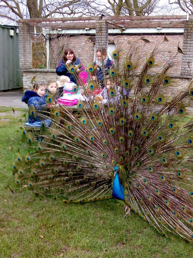 https://mdw-travel-data-us-east-1.s3.amazonaws.com/img/country/United-Kingdom/Dudley-Zoological-Gardens/img_03.jpg