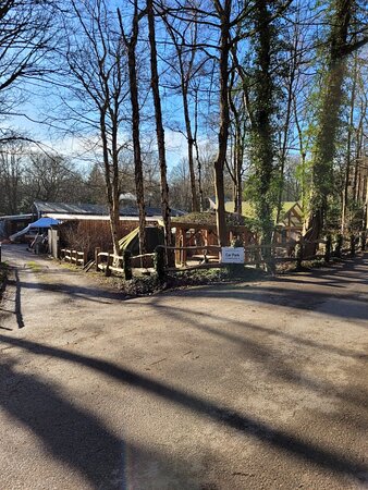 https://mdw-travel-data-us-east-1.s3.amazonaws.com/img/country/United-Kingdom/Ecclesall-Woods/img_03.jpg