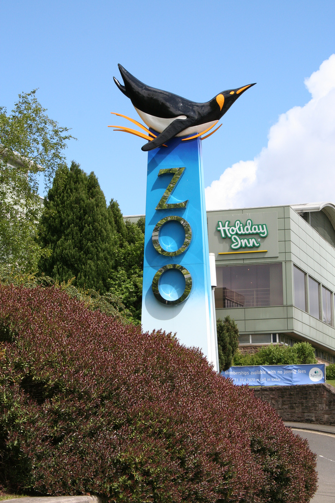 https://mdw-travel-data-us-east-1.s3.amazonaws.com/img/country/United-Kingdom/Edinburgh-Zoo/img_01.jpg