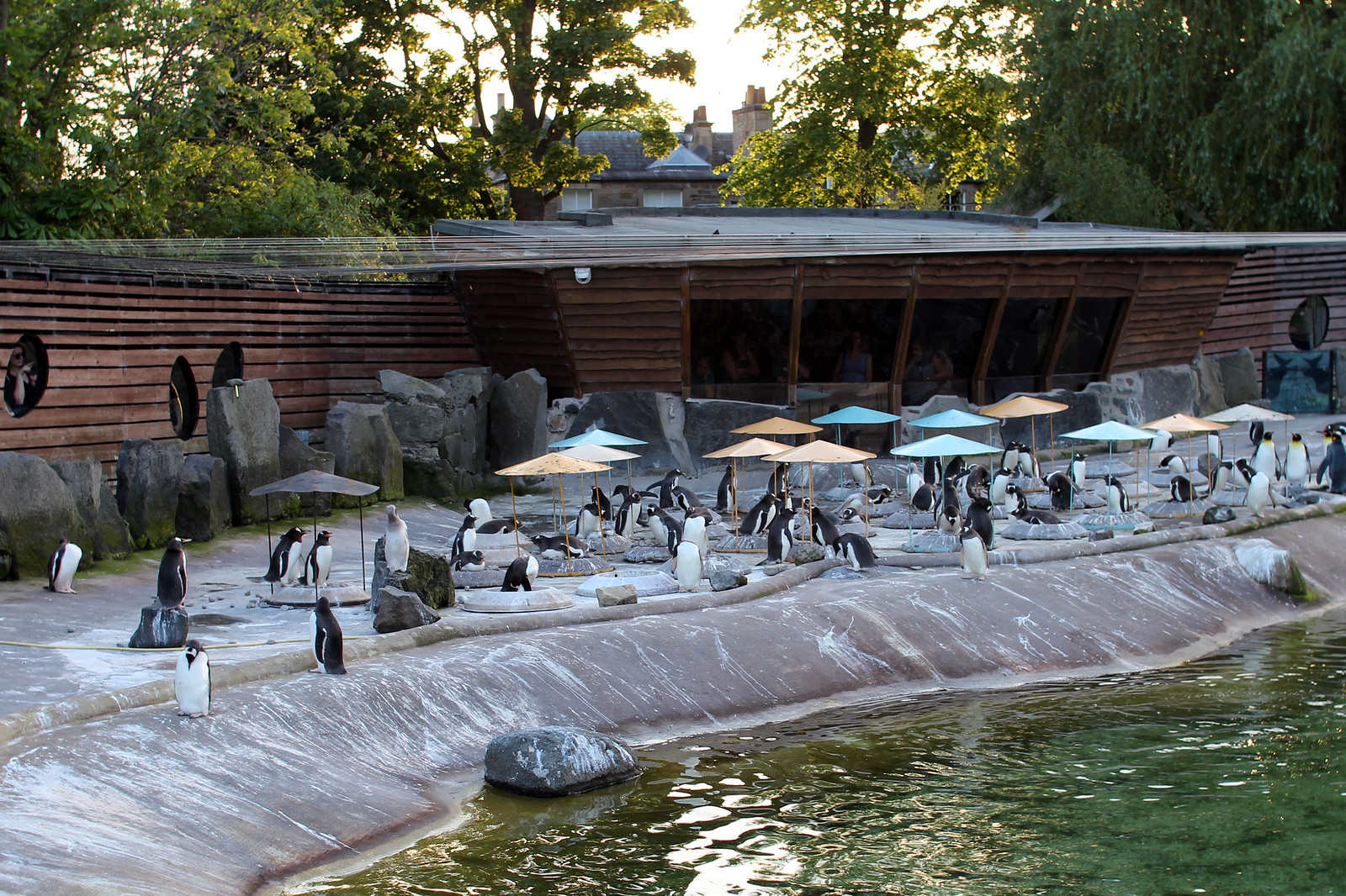 https://mdw-travel-data-us-east-1.s3.amazonaws.com/img/country/United-Kingdom/Edinburgh-Zoo/img_03.jpg