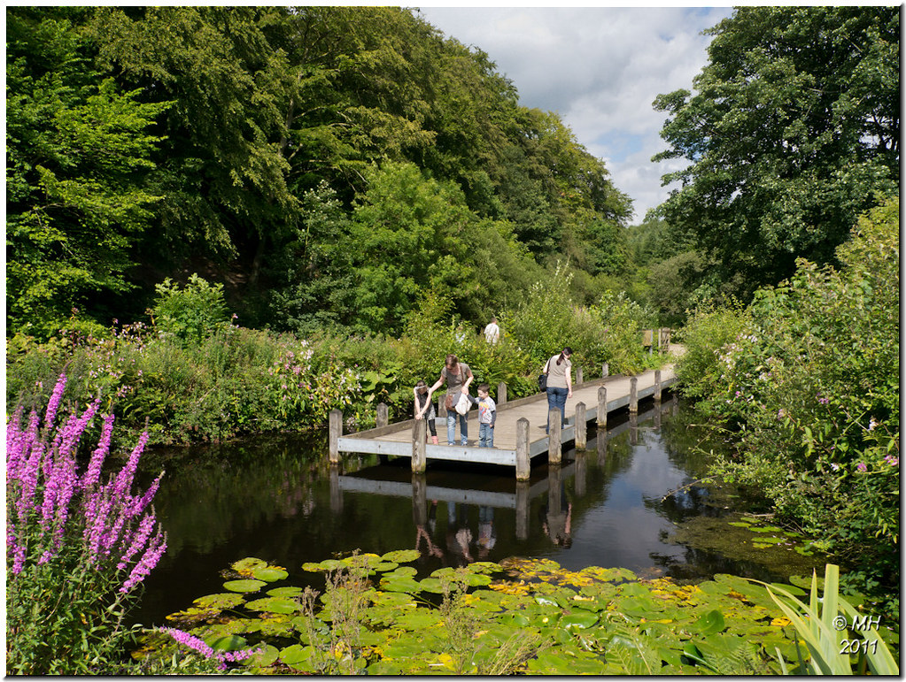 https://mdw-travel-data-us-east-1.s3.amazonaws.com/img/country/United-Kingdom/Etherow-Country-Park/img_02.jpg