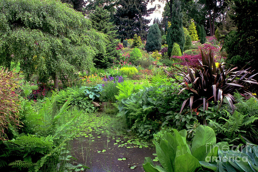 https://mdw-travel-data-us-east-1.s3.amazonaws.com/img/country/United-Kingdom/Fletcher-Moss-Botanical-Garden/img_01.jpg